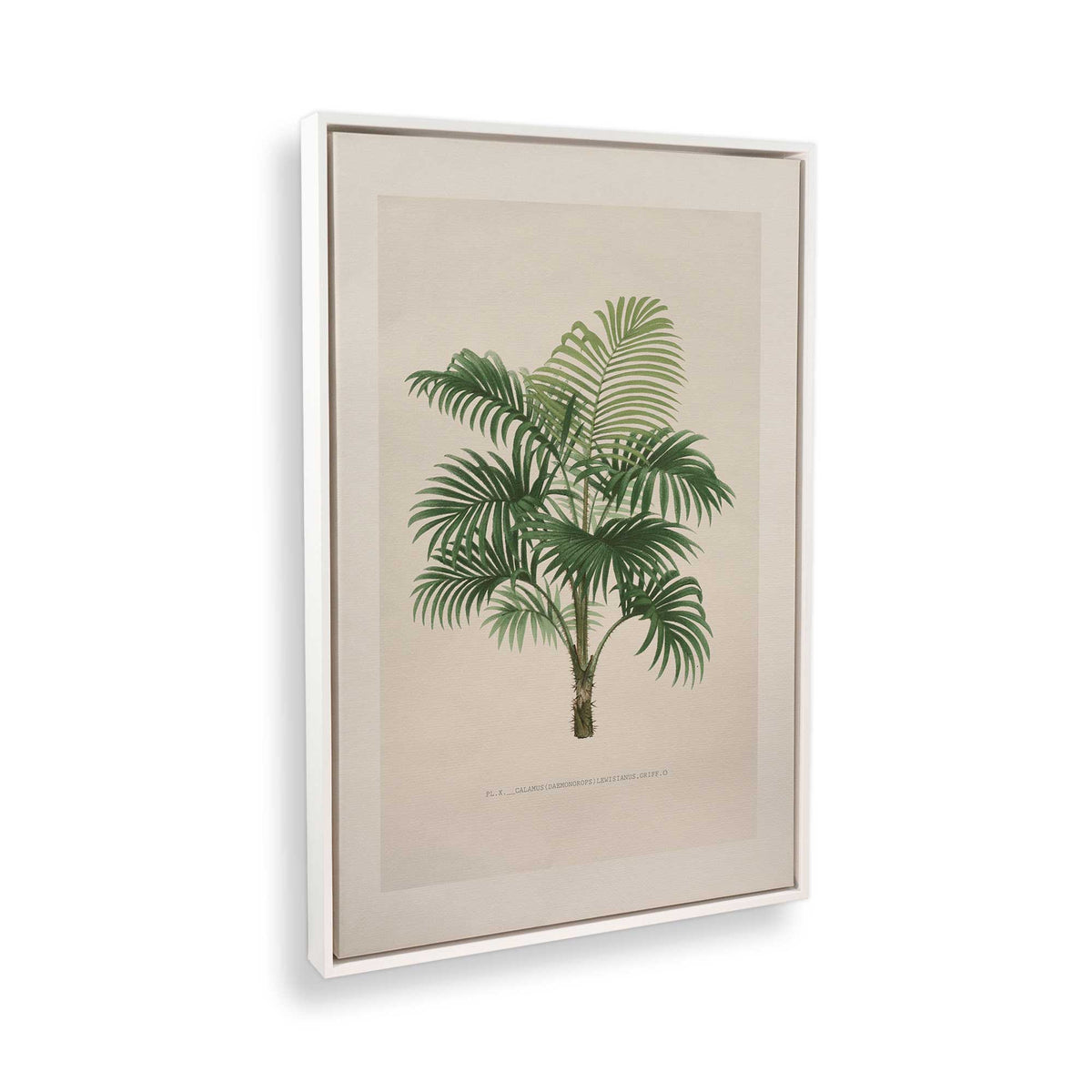 [Color:Opaque White], Picture of the corner of the art