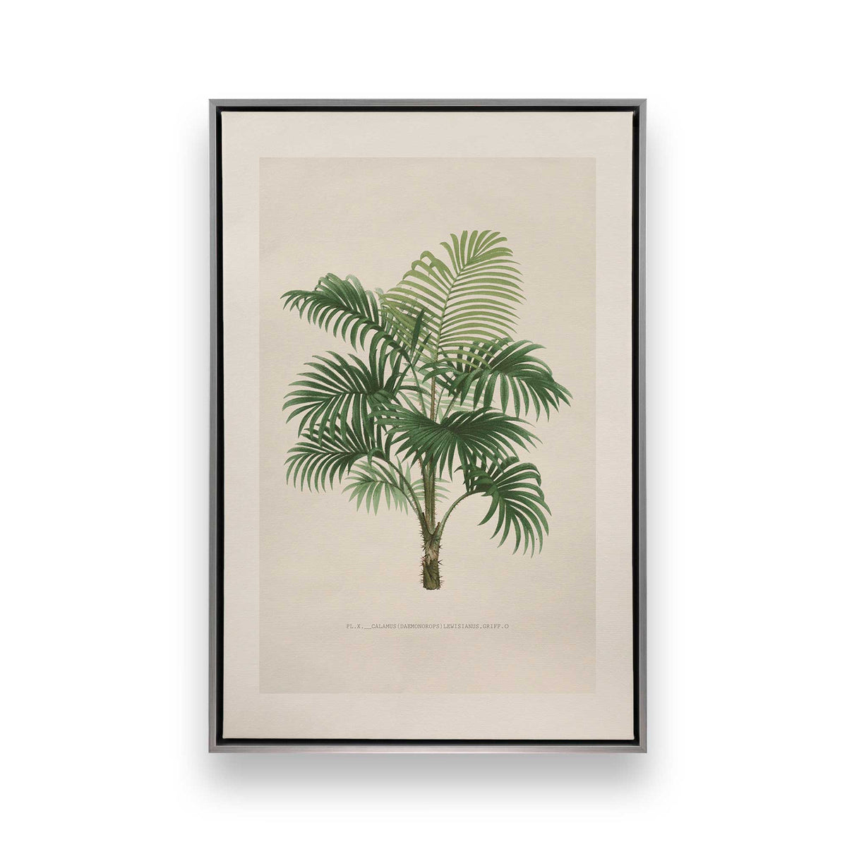 [Color:Polished Chrome], Picture of art in a Polished Chrome frame