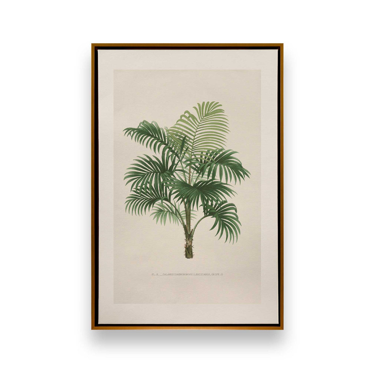 [Color:Polished Gold], Picture of art in a Polished Gold frame