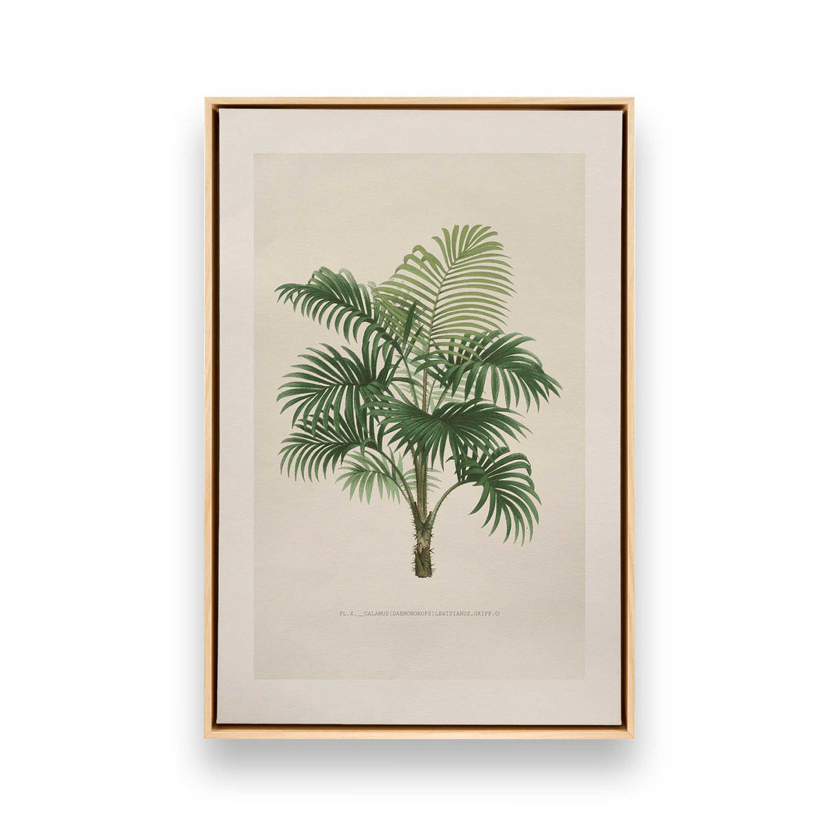 [Color:American Maple], Picture of art in a American Maple frame