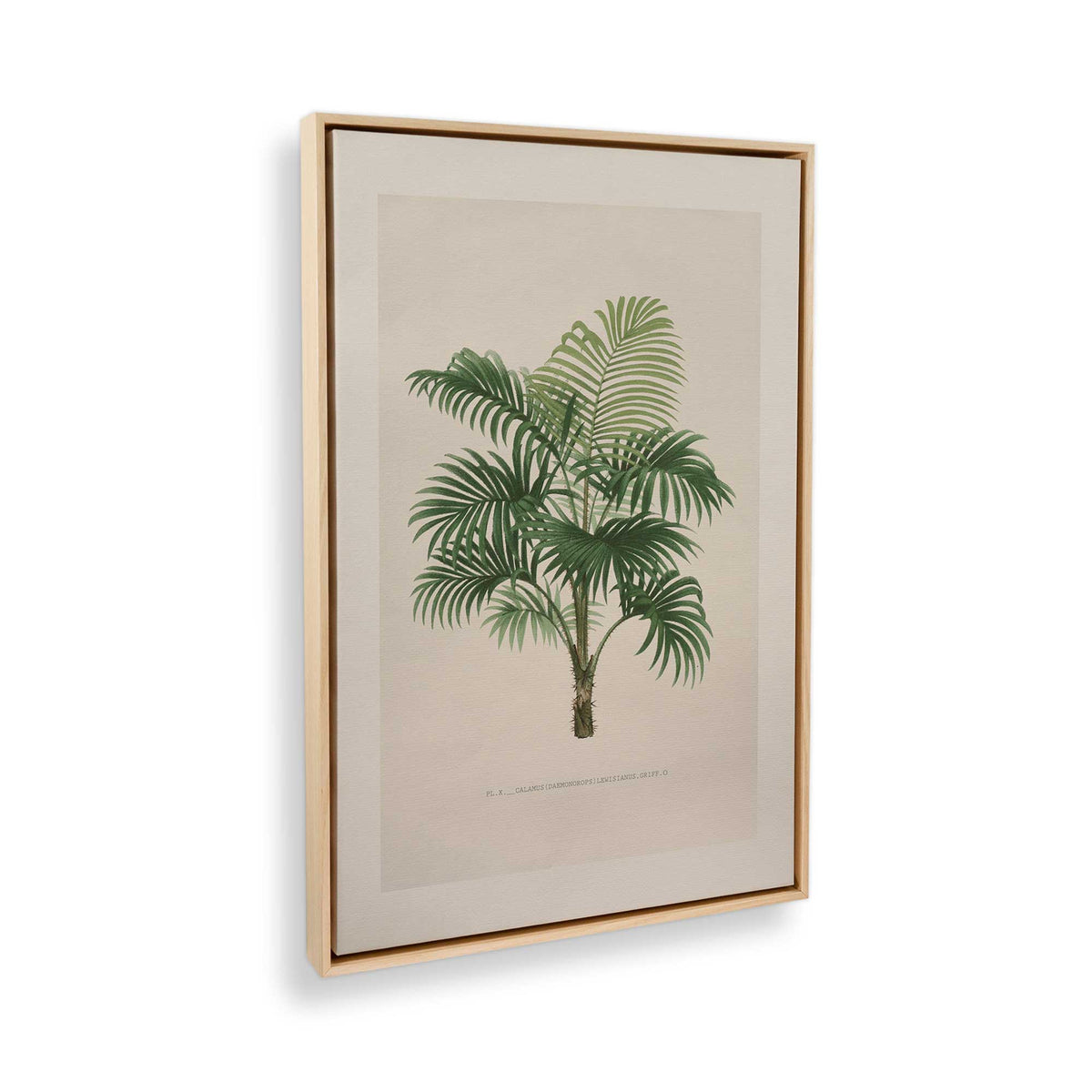 [Color:American Maple], Picture of the corner of the art