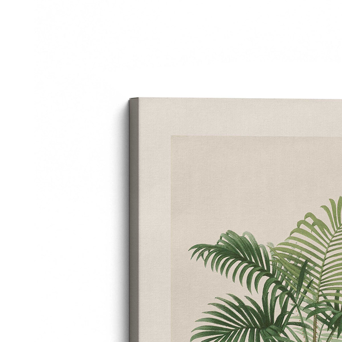 [Color:Stretched Canvas], Picture of the corner of the art