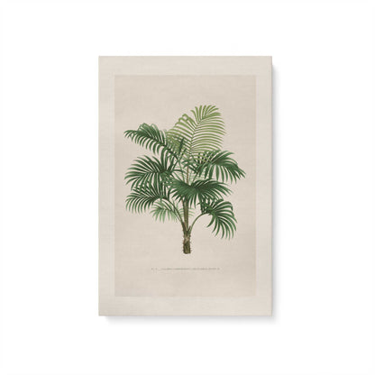 [Color:Stretched Canvas], Picture of art