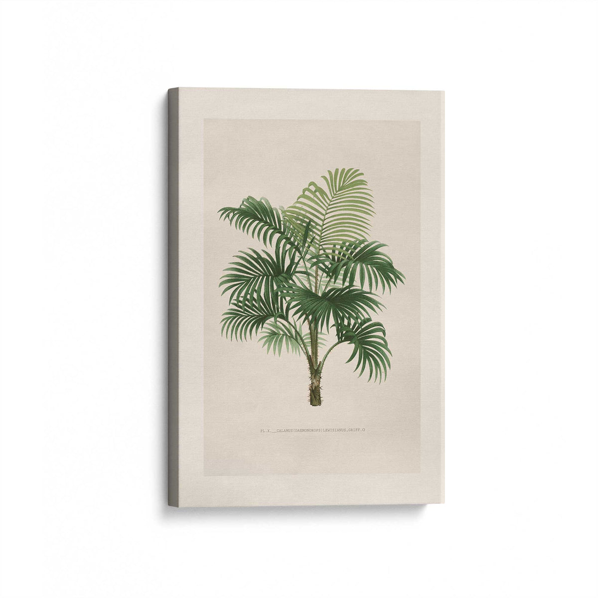 [Color:Stretched Canvas], Picture of art at an angle