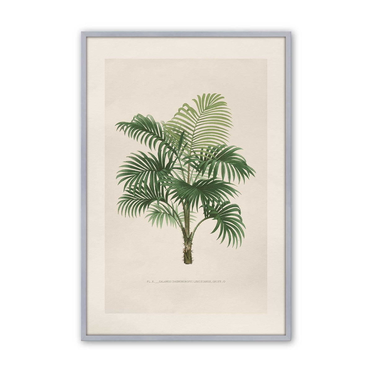 [Color:Polished Chrome], Picture of art in a Polished Chrome frame