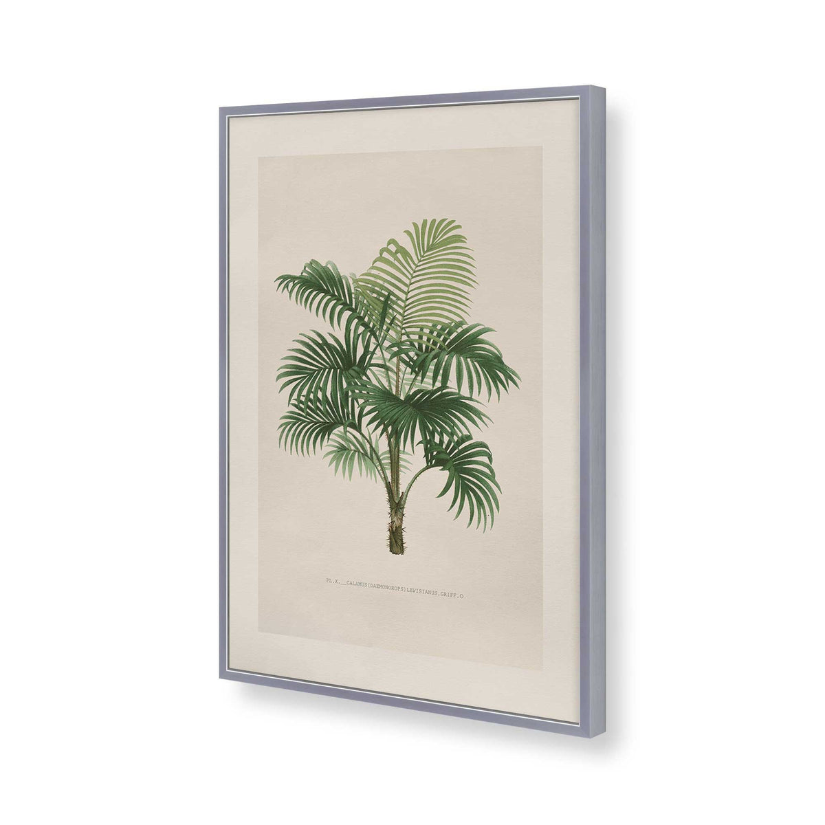 [Color:Polished Chrome], Picture of art in a Polished Chrome frame of the corner
