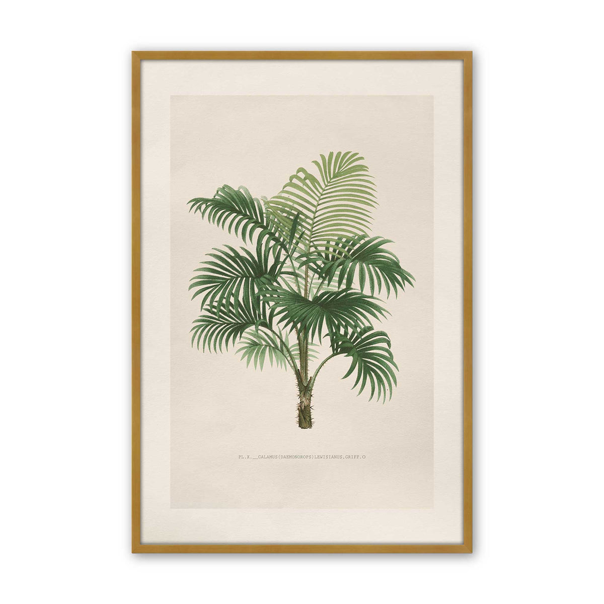 [Color:Polished Gold], Picture of art in a Polished Chrome frame