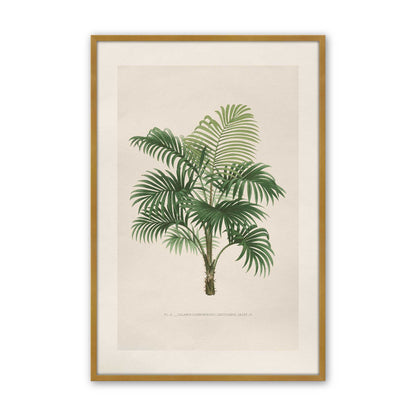 [Color:Polished Gold], Picture of art in a Polished Chrome frame