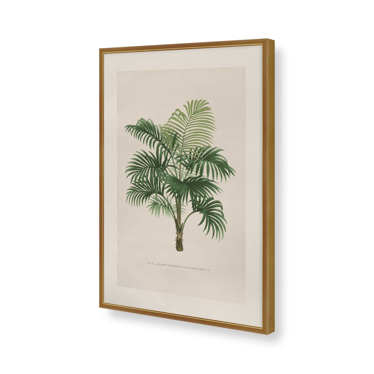 [Color:Polished Gold], Picture of art in a Polished Chrome frame of the corner