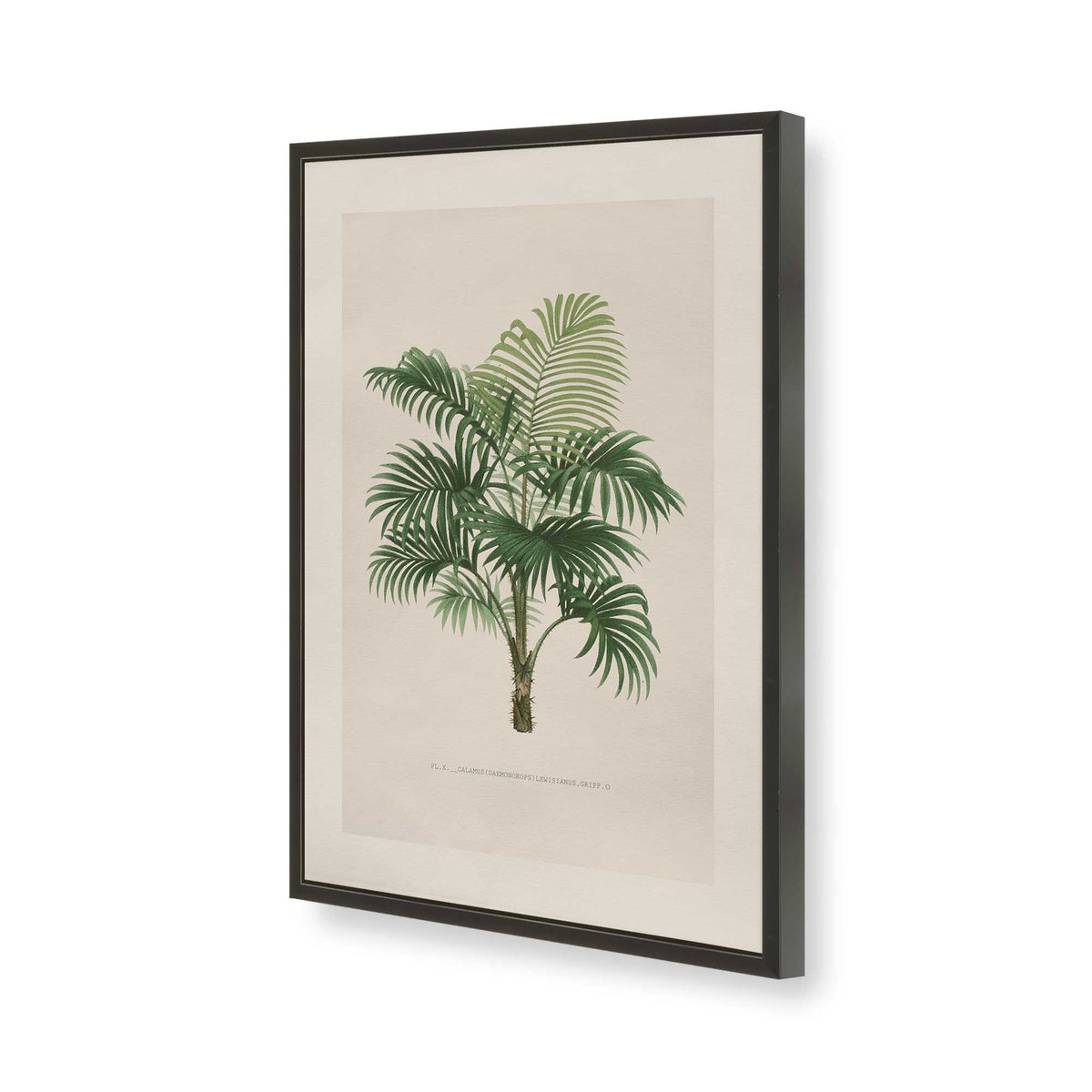 [Color:Satin Black], Picture of art in a Polished Chrome frame of the corner