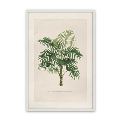 [Color:Opaque White], Picture of art in a Polished Chrome frame
