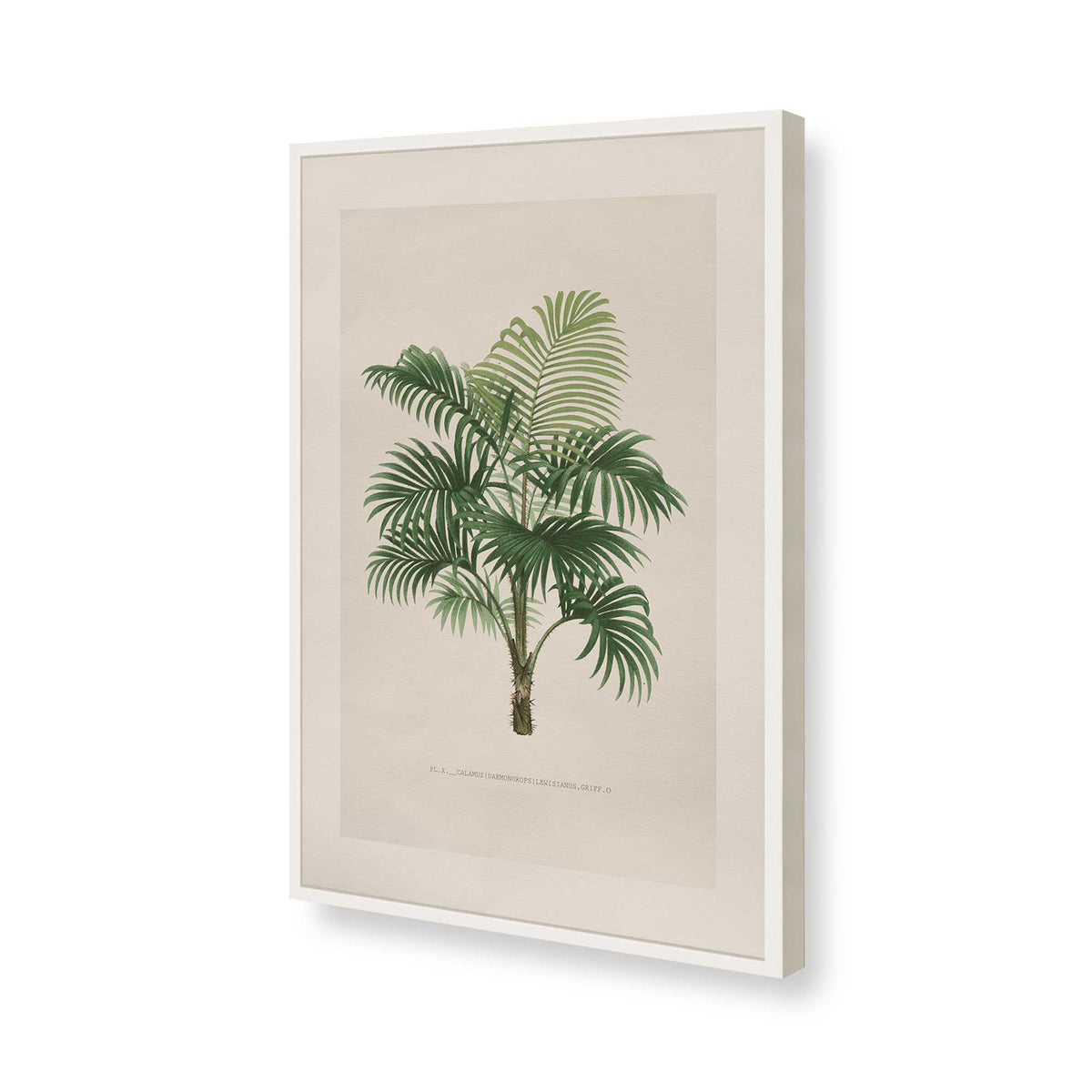 [Color:Opaque White], Picture of art in a Polished Chrome frame of the corner