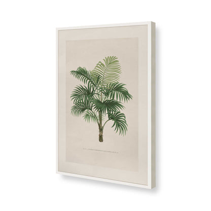 [Color:Opaque White], Picture of art in a Polished Chrome frame of the corner