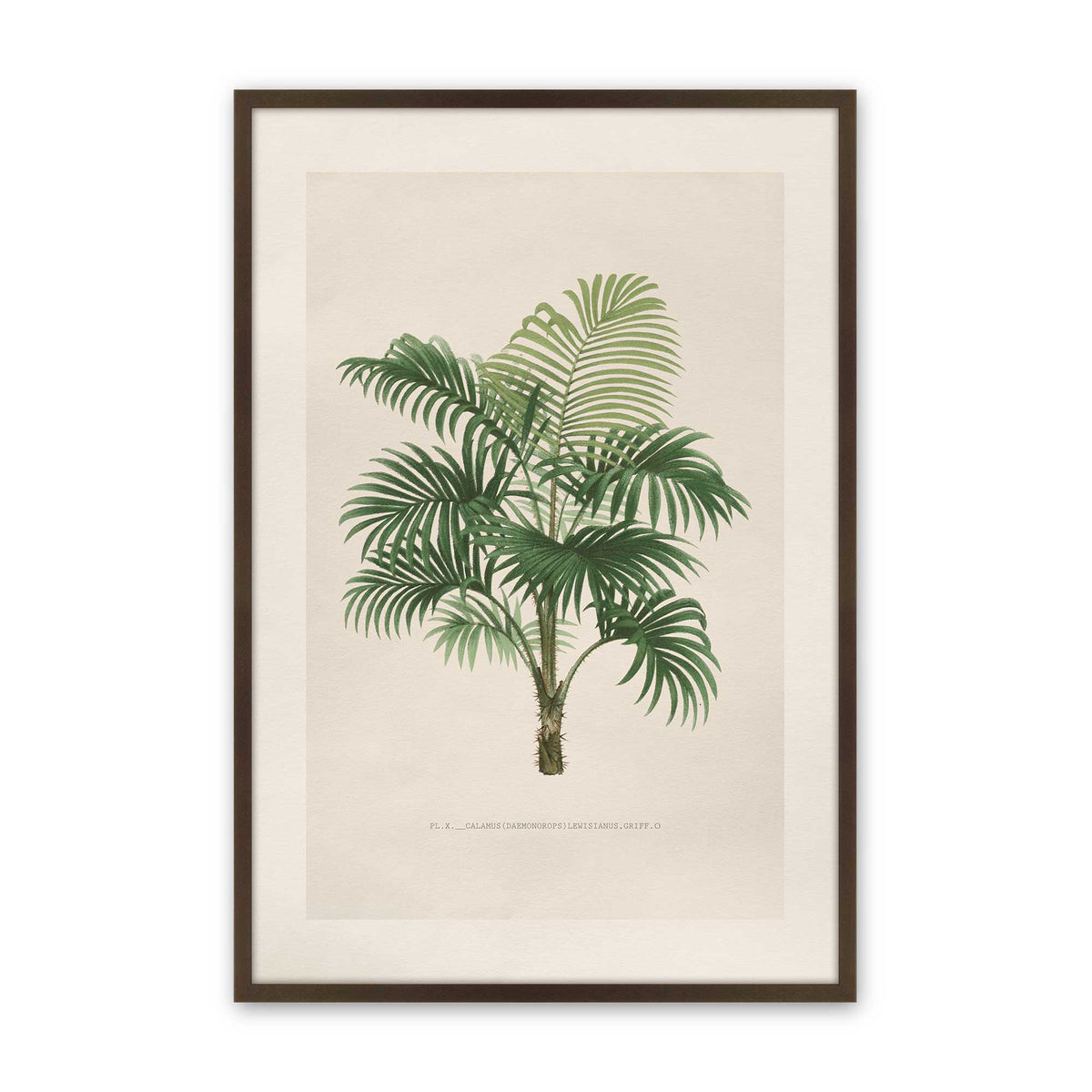 [Color:Belvinder Brown], Picture of art in a Polished Chrome frame