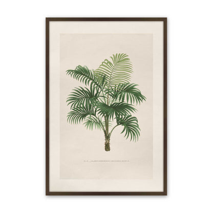 [Color:Belvinder Brown], Picture of art in a Polished Chrome frame