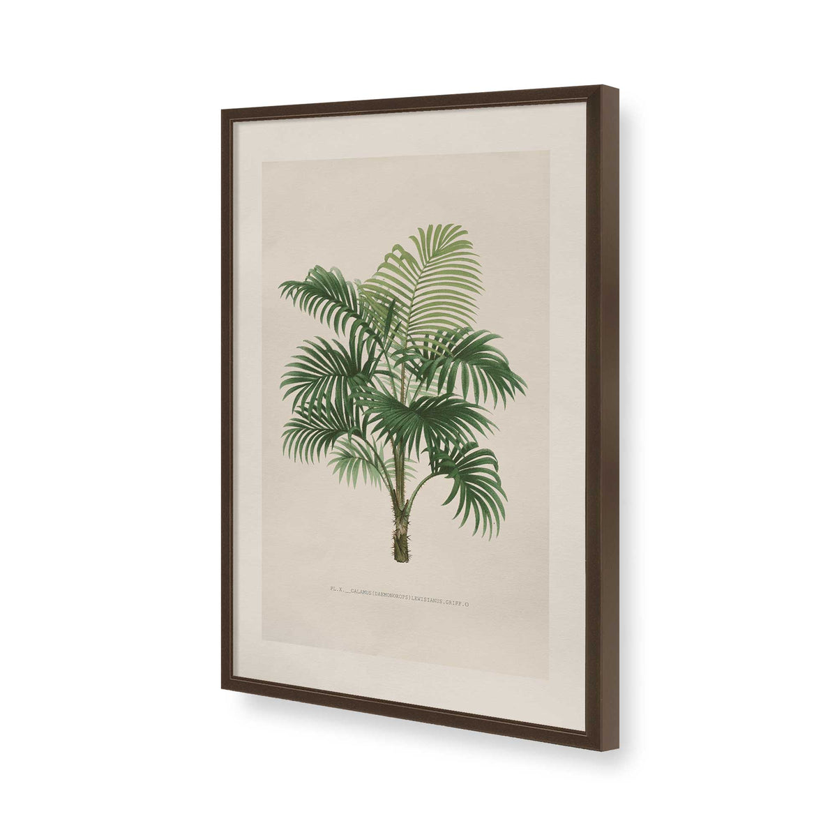 [Color:Belvinder Brown], Picture of art in a Polished Chrome frame of the corner