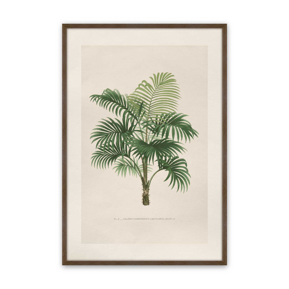[Color:Walnut], Picture of art in a Polished Chrome frame