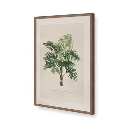 [Color:Walnut], Picture of art in a Polished Chrome frame of the corner