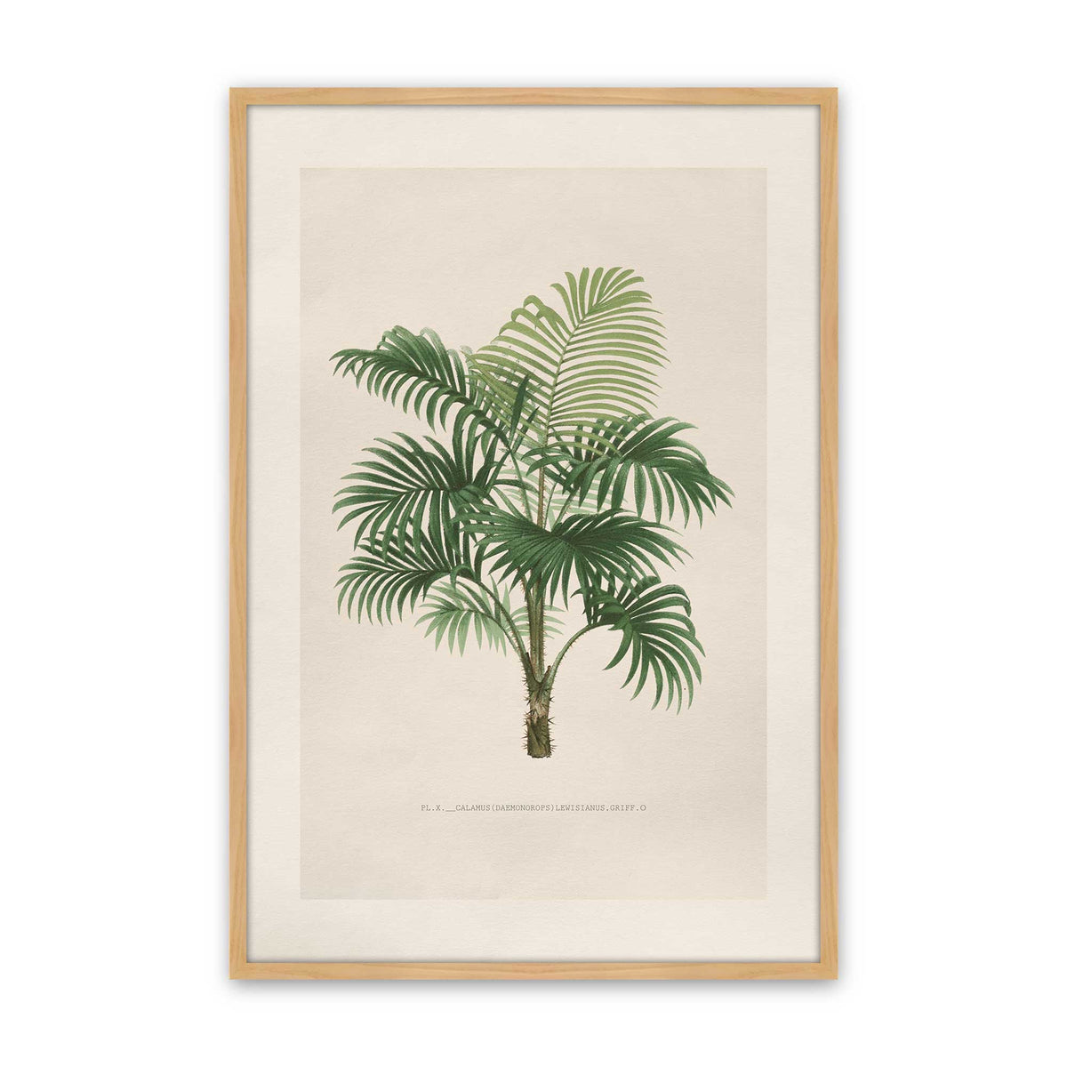 [Color:American Maple], Picture of art in a Polished Chrome frame