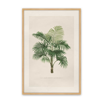 [Color:American Maple], Picture of art in a Polished Chrome frame