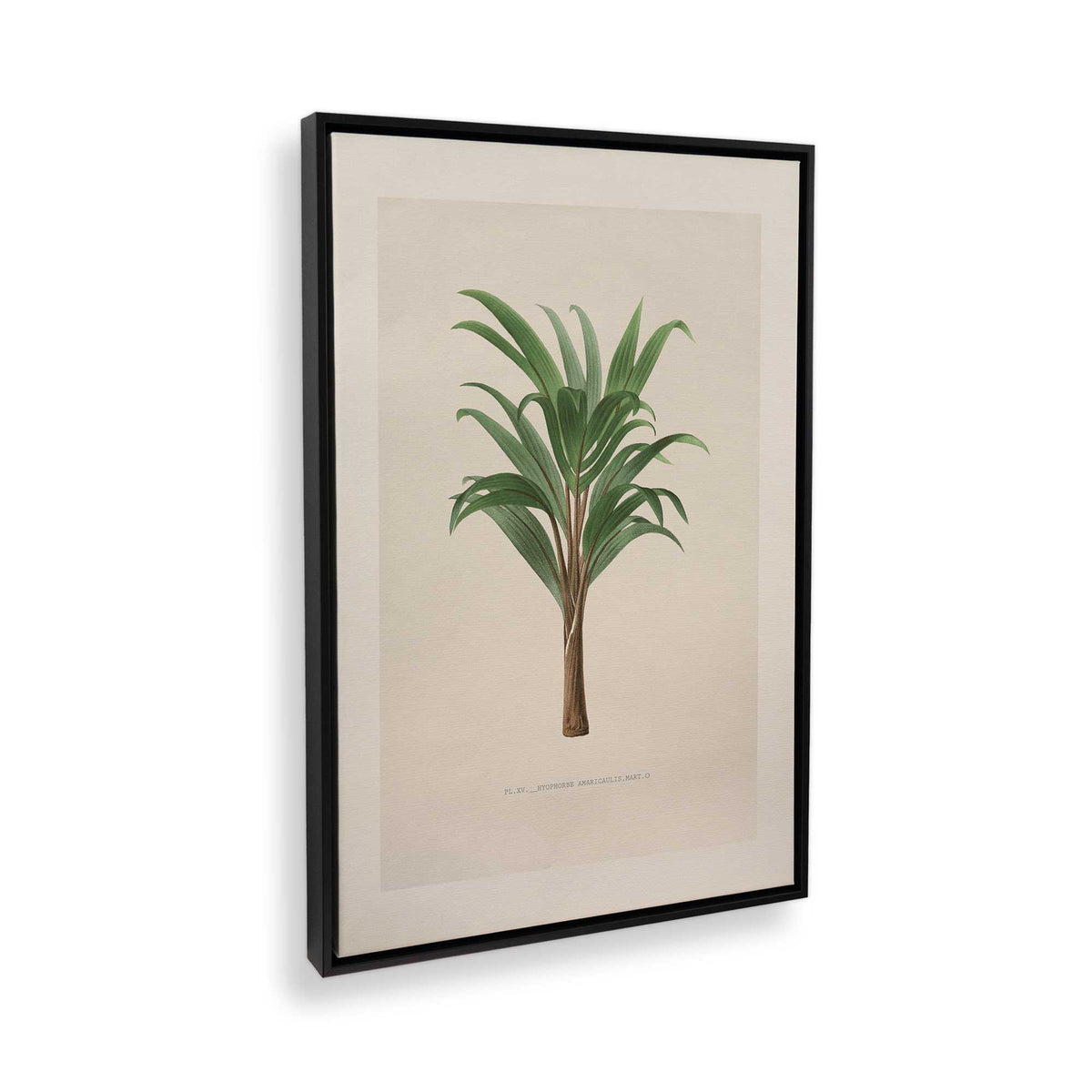 [Color:Satin Black], Picture of the corner of the art