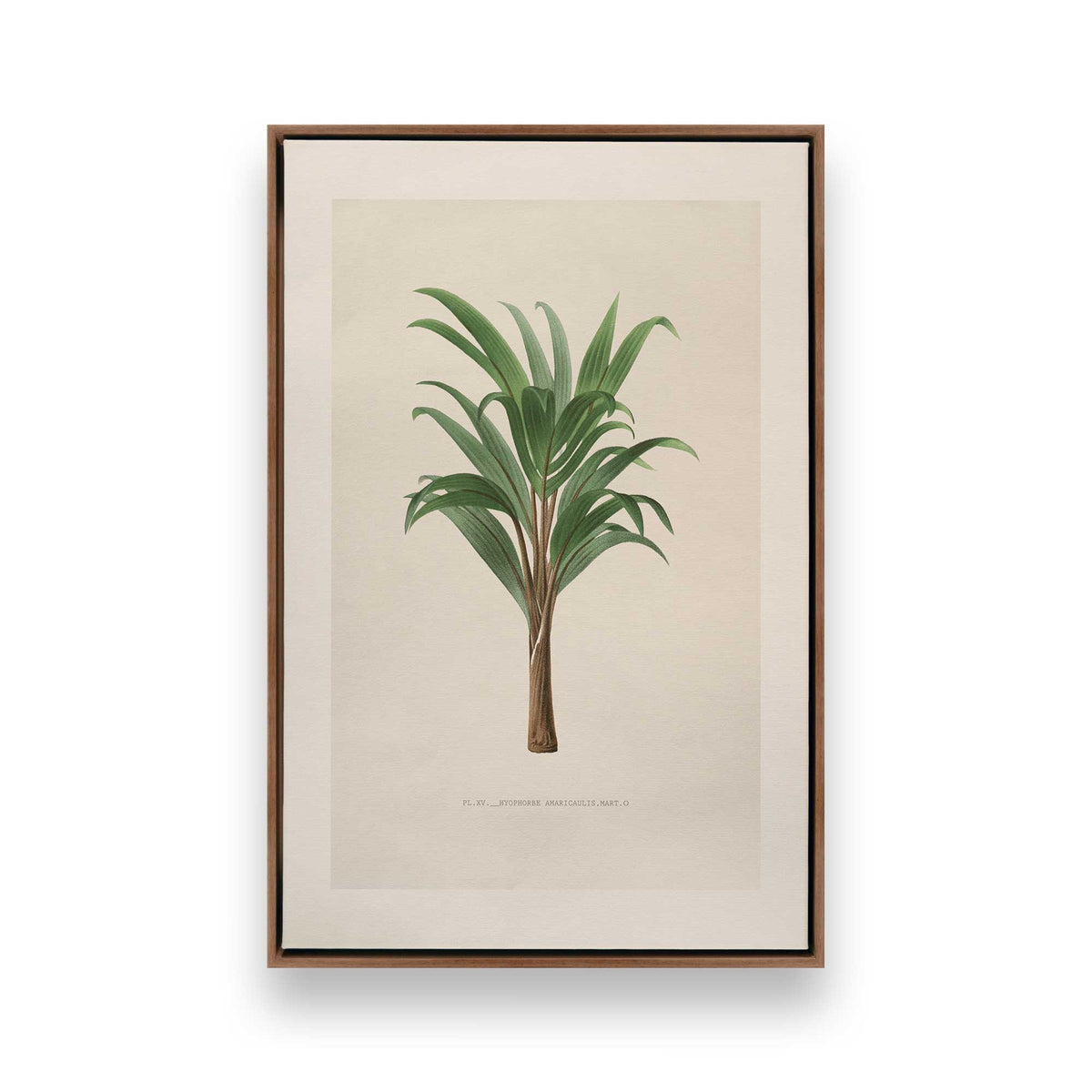 [Color:Walnut], Picture of art in a Walnut frame