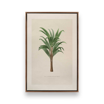 [Color:Walnut], Picture of art in a Walnut frame