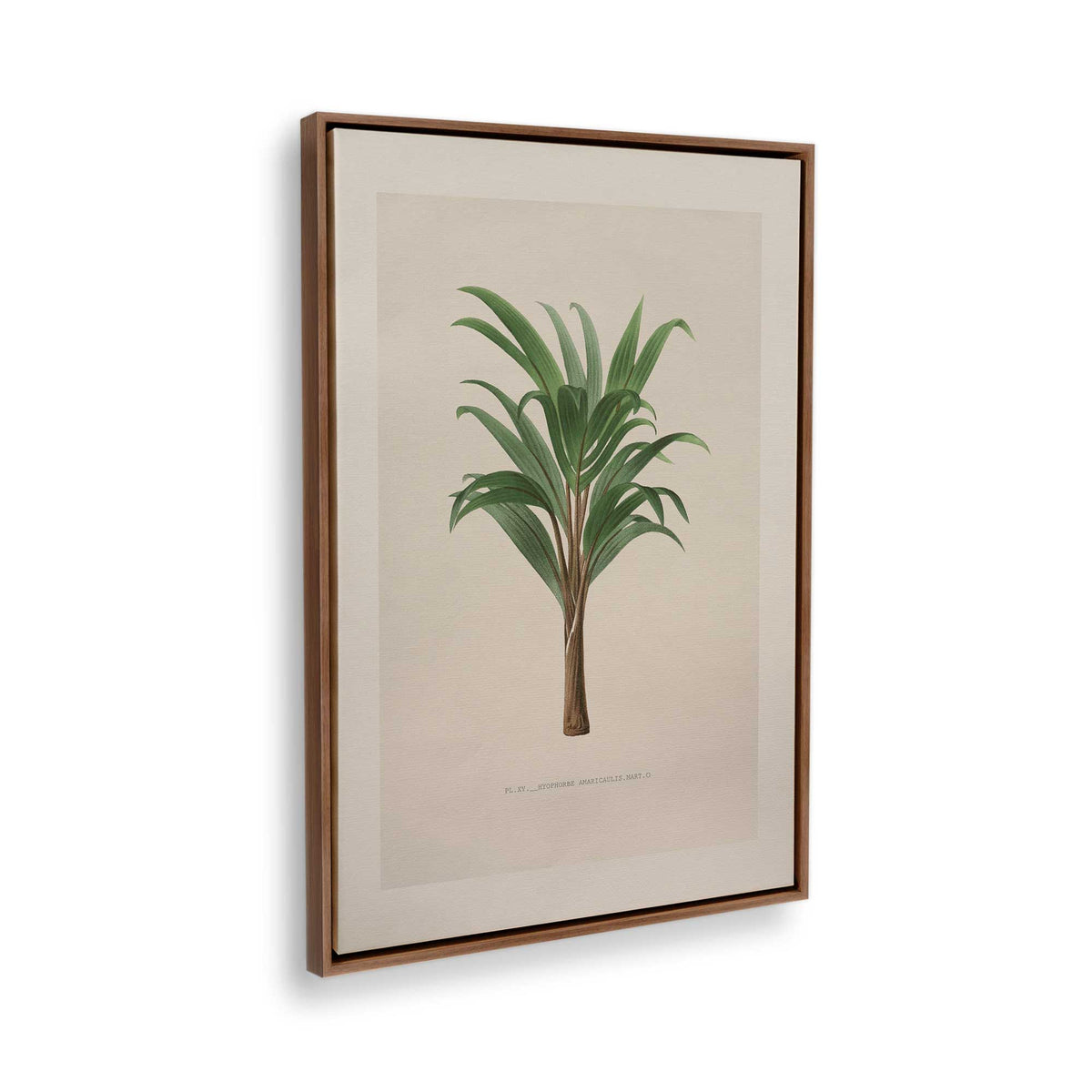 [Color:Walnut], Picture of the corner of the art