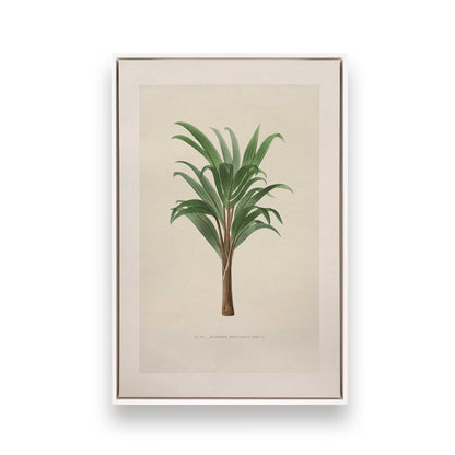 [Color:Opaque White], Picture of art in a White frame