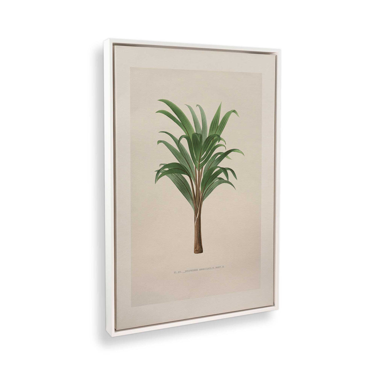 [Color:Opaque White], Picture of the corner of the art