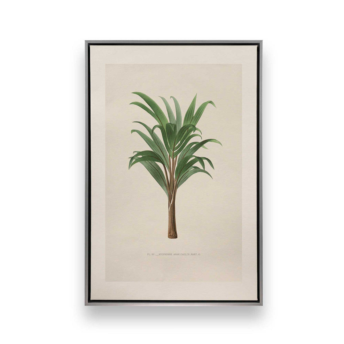 [Color:Polished Chrome], Picture of art in a Polished Chrome frame