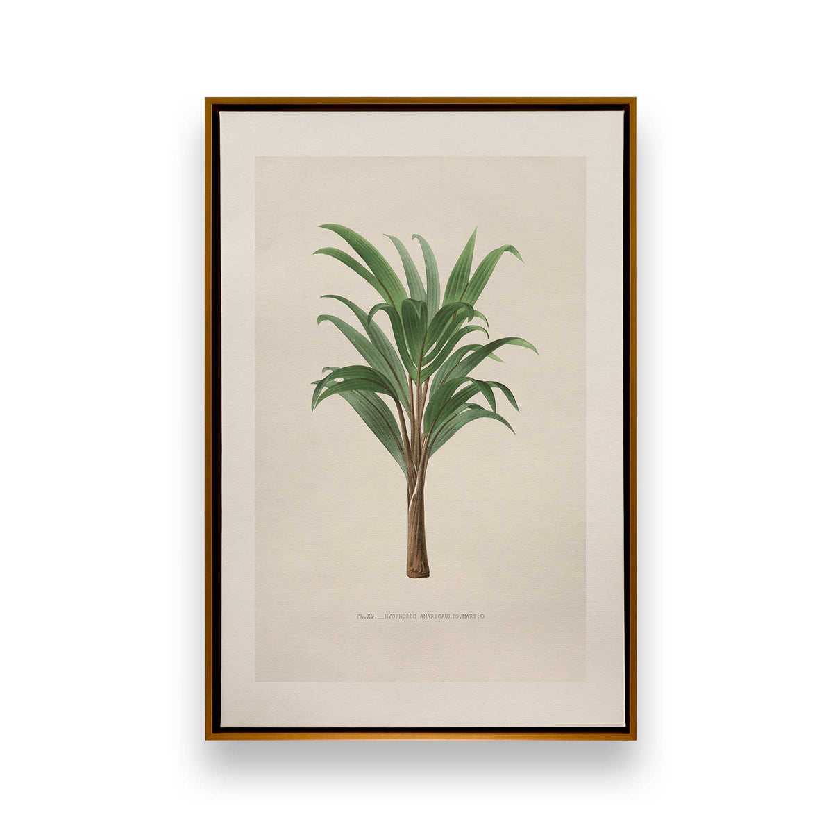 [Color:Polished Gold], Picture of art in a Polished Gold frame