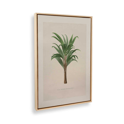 [Color:American Maple], Picture of the corner of the art