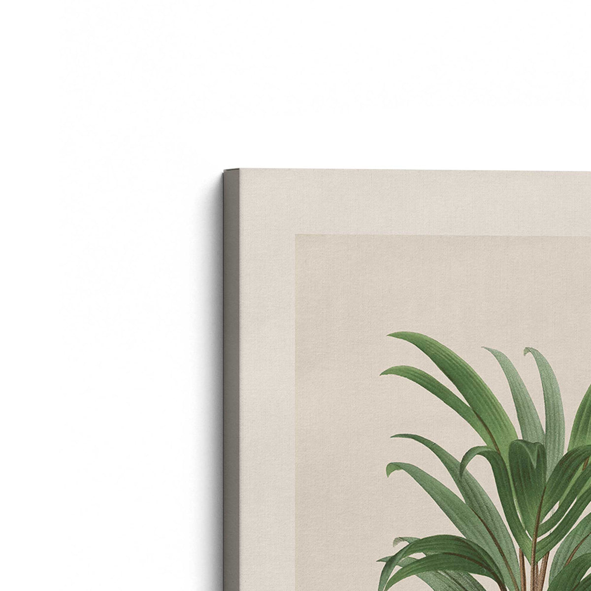 [Color:Stretched Canvas], Picture of the corner of the art