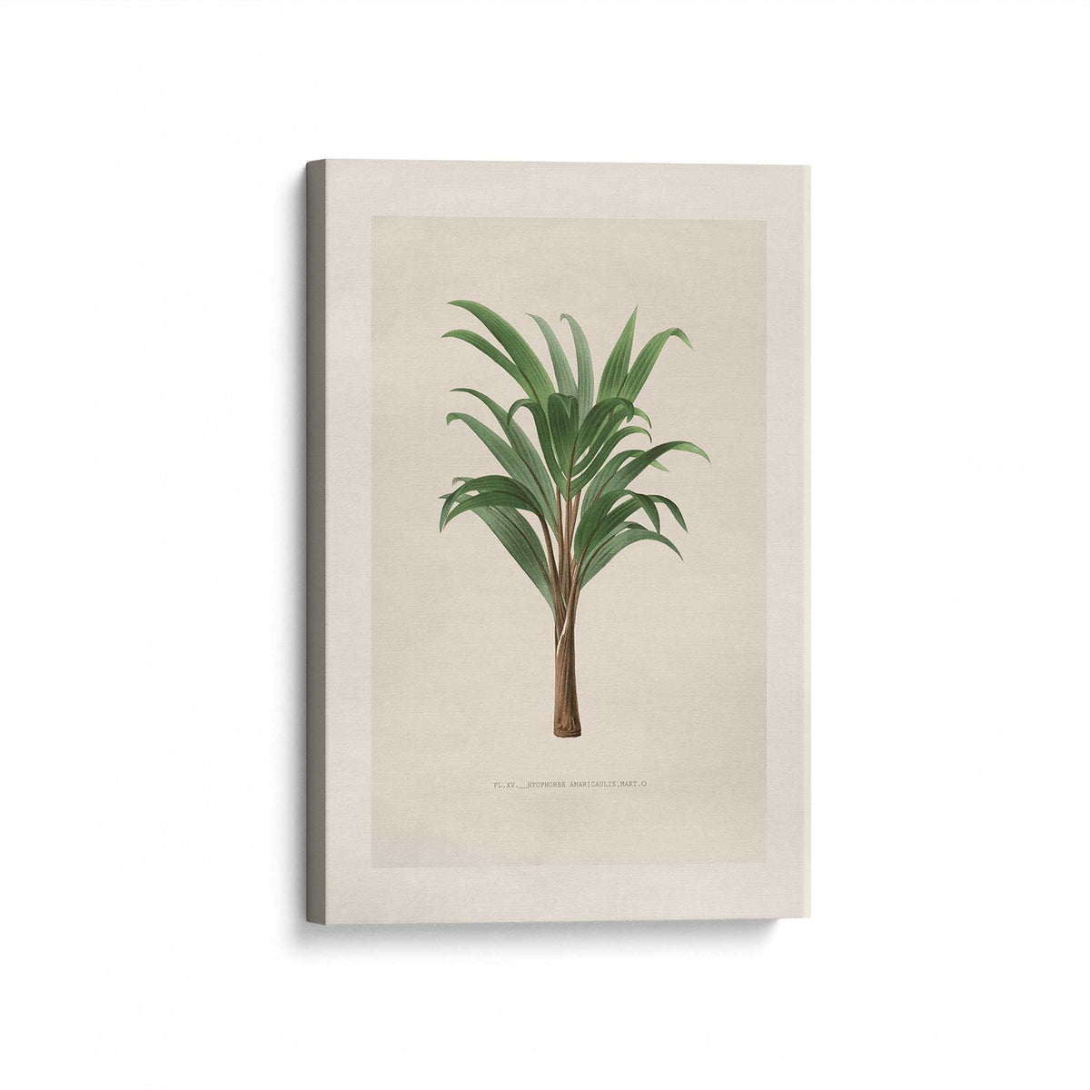 [Color:Stretched Canvas], Picture of art at an angle