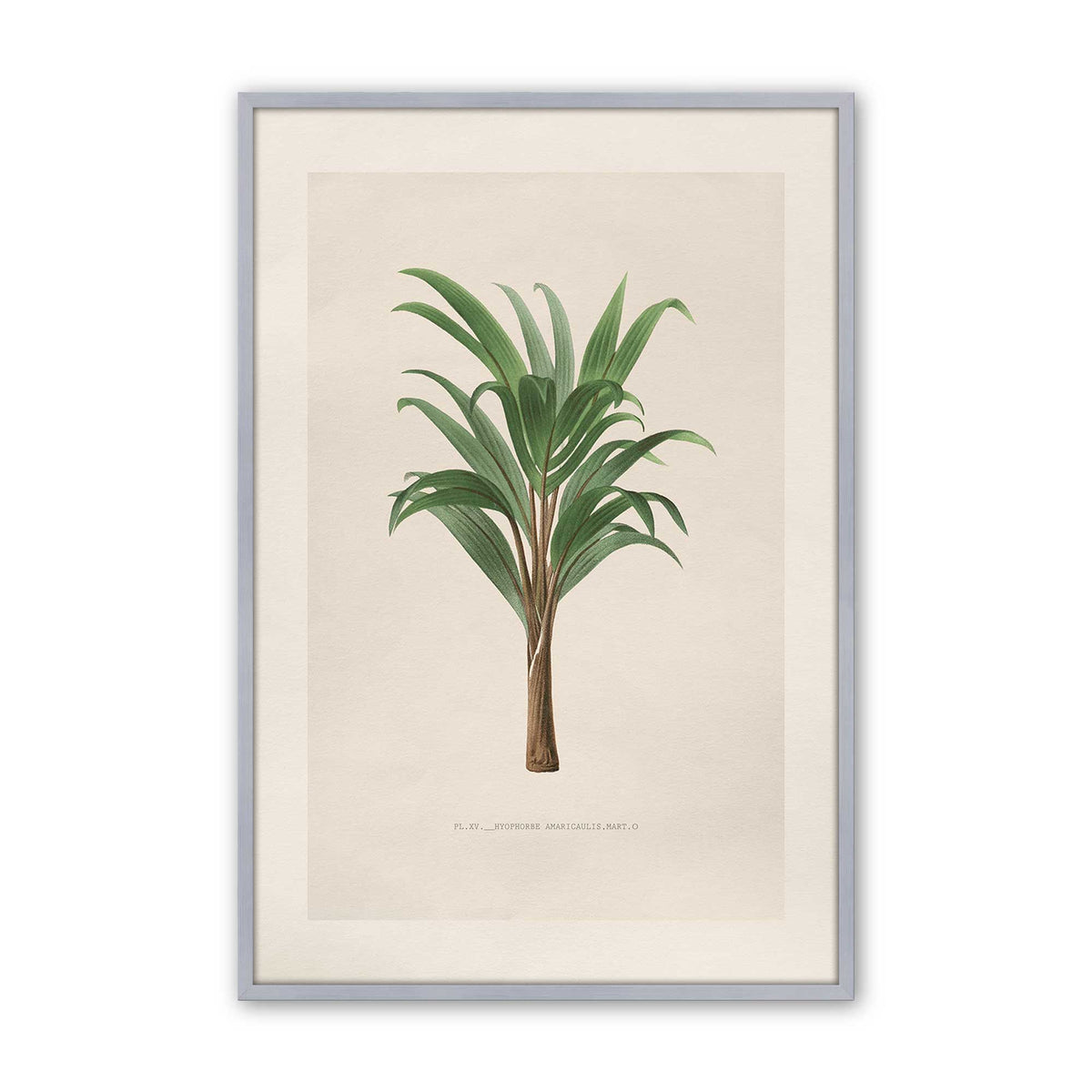 [Color:Polished Chrome], Picture of art in a Polished Chrome frame
