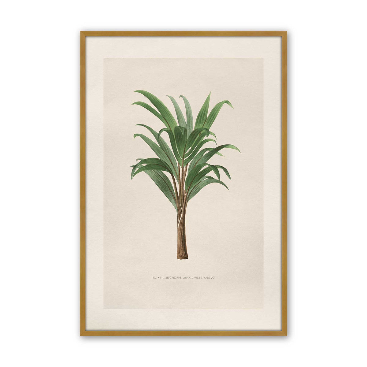 [Color:Polished Gold], Picture of art in a Polished Chrome frame