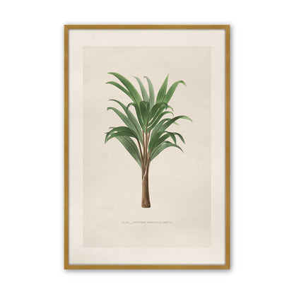 [Color:Polished Gold], Picture of art in a Polished Chrome frame