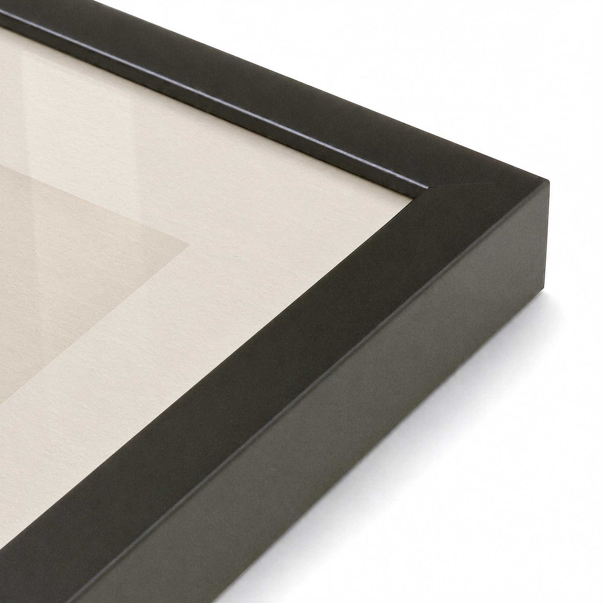 [Color:Satin Black], Picture of art in a Polished Chrome frame at an angle