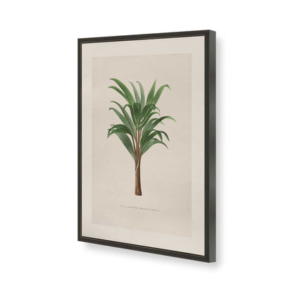 [Color:Satin Black], Picture of art in a Polished Chrome frame of the corner