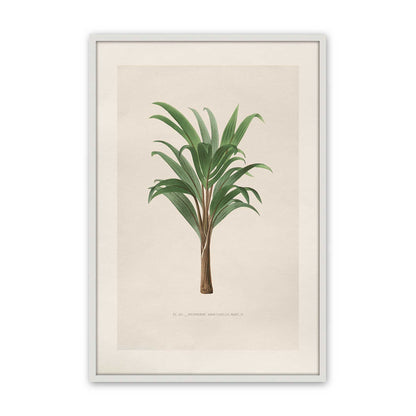 [Color:Opaque White], Picture of art in a Polished Chrome frame