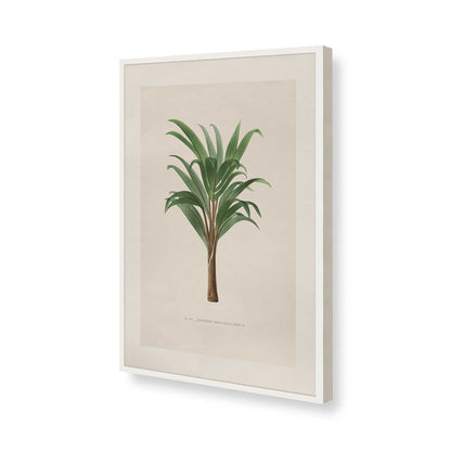 [Color:Opaque White], Picture of art in a Polished Chrome frame of the corner