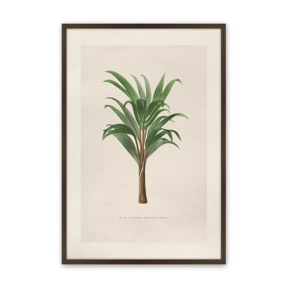 [Color:Belvinder Brown], Picture of art in a Polished Chrome frame