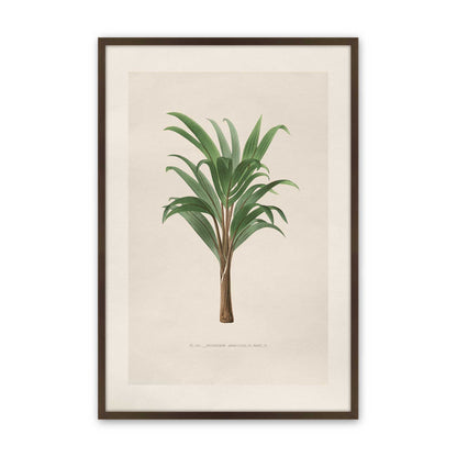 [Color:Belvinder Brown], Picture of art in a Polished Chrome frame