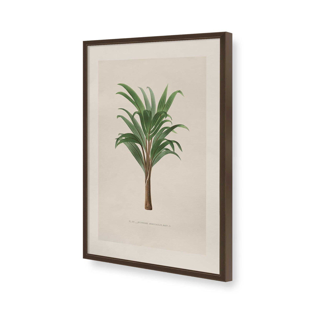 [Color:Belvinder Brown], Picture of art in a Polished Chrome frame of the corner