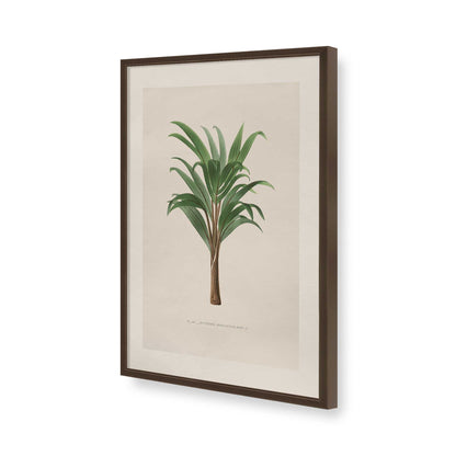 [Color:Belvinder Brown], Picture of art in a Polished Chrome frame of the corner