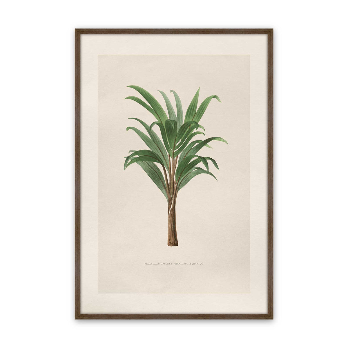 [Color:Walnut], Picture of art in a Polished Chrome frame