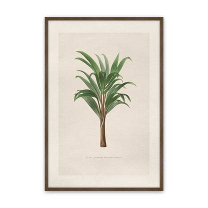 [Color:Walnut], Picture of art in a Polished Chrome frame