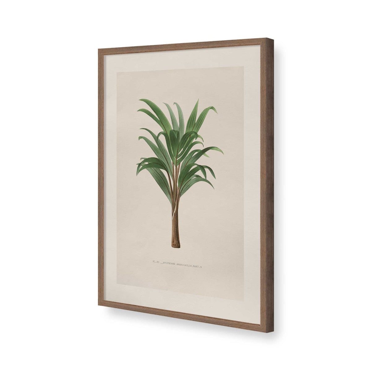 [Color:Walnut], Picture of art in a Polished Chrome frame of the corner