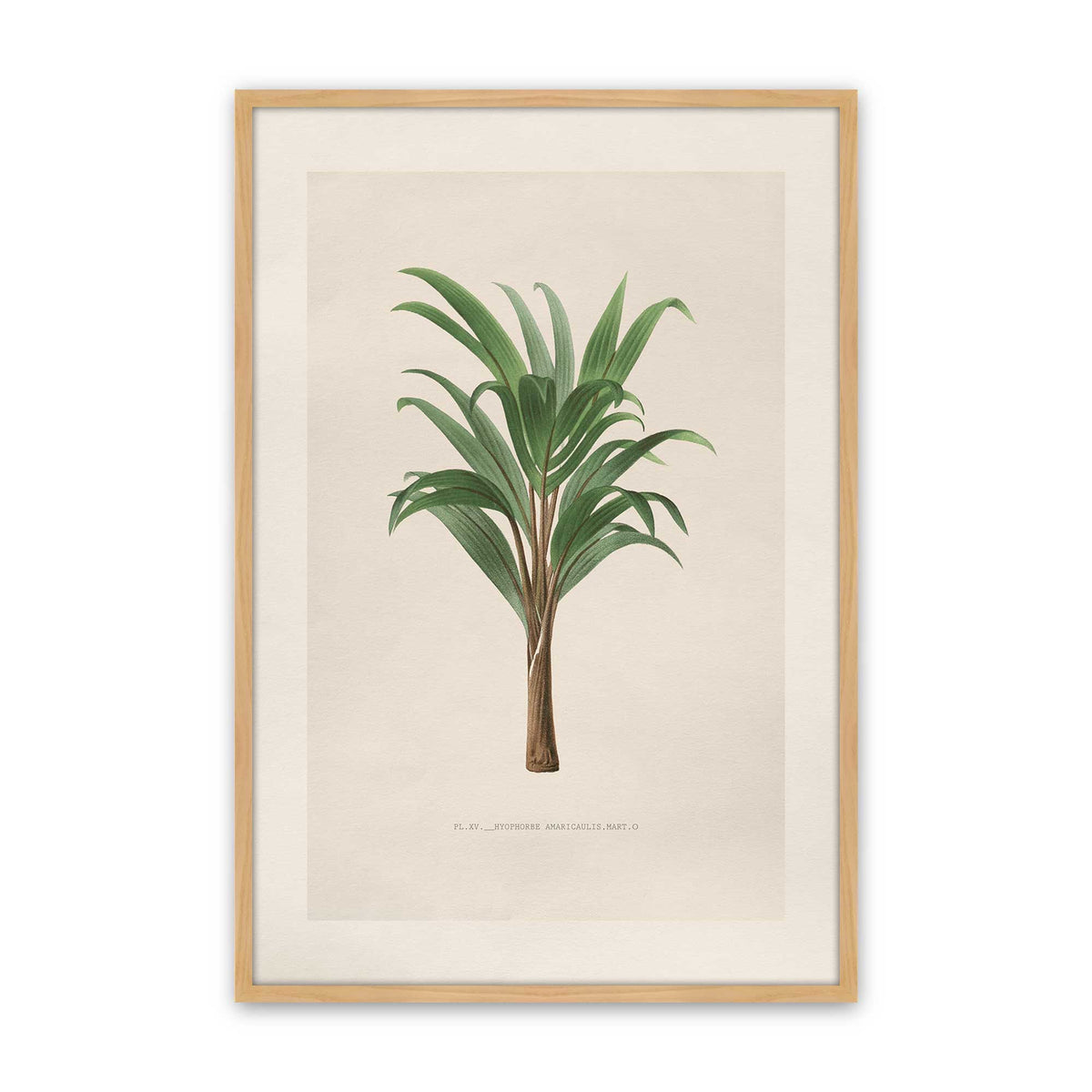 [Color:American Maple], Picture of art in a Polished Chrome frame